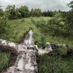 Happy end στο πουθενά